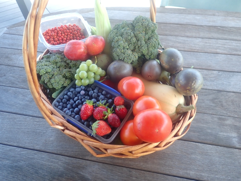 Summer fruit basket