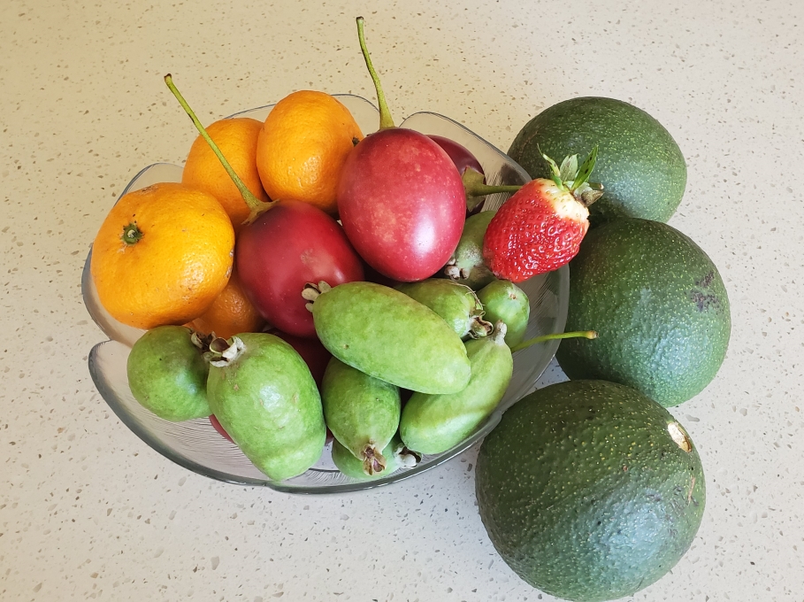 Fruit basket